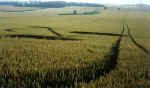 Telegraph Hill, Bedfordshire crop circle, aerial photo 3