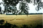 Telegraph Hill (2), Bedfordshire crop circle, aerial photo 2