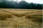 Telegraph Hill (2), Bedfordshire crop circle, aerial photo 3