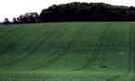 tichbourne2000ka.jpg (34437 bytes)