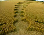 uffington2000a14.jpg (49481 bytes)