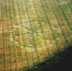 Waka3jpg.jpg (72035 bytes)