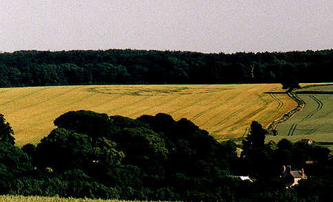 Wakeley, Northampton crop circle, aerial photo 4