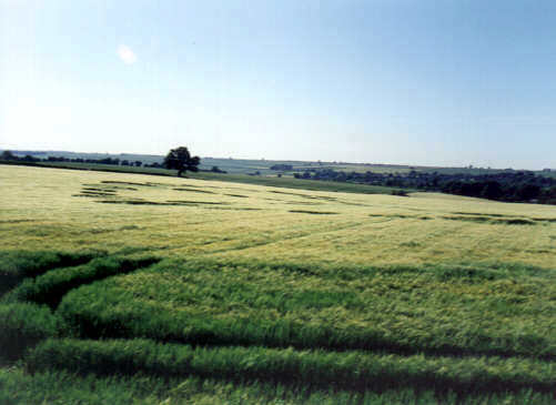 Wakeley, Northampton crop circle, aerial photo 6