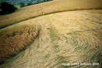 Whitchurch, Somerset crop circle, aerial photo 5