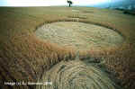 Whitchurch, Somerset crop circle, aerial photo 6