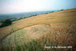 Whitchurch, Somerset crop circle, aerial photo 7