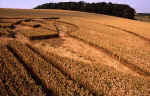 whitehill2000b.jpg (71163 bytes)