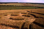 whitehill2000e.jpg (58335 bytes)