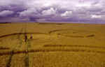 Windmill Hill, Wiltshire crop circle, aerial photo 15