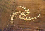 Windmill Hill (3), Wiltshire crop circle, aerial photo 8