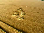 Windmill Hill (3), Wiltshire crop circle, aerial photo 7