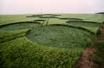 Winsbury Hill, Bristol crop circle, aerial photo 4