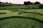 Winsbury Hill, Bristol crop circle, aerial photo 5