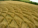 Woodborough Hill (3), Wiltshire crop circle, aerial photo 9