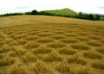 Woodborough Hill (3), Wiltshire crop circle, aerial photo 6
