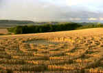 Woodborough Hill (3), Wiltshire crop circle, aerial photo 5