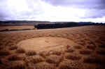Woodborough Hill (3), Wiltshire crop circle, aerial photo 12