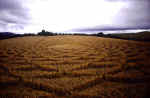 Woodborough Hill (3), Wiltshire crop circle, aerial photo 14