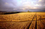 Woodborough Hill (3), Wiltshire crop circle, aerial photo 18