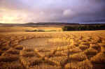 Woodborough Hill (3), Wiltshire crop circle, aerial photo 17