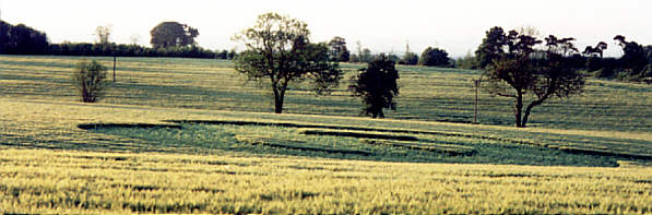 Wrotham, Kent crop circle, aerial photo 2