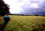 Wrotham, Kent crop circle, aerial photo 6