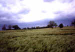 Wrotham, Kent crop circle, aerial photo 7