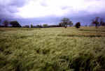 Wrotham, Kent crop circle, aerial photo 8