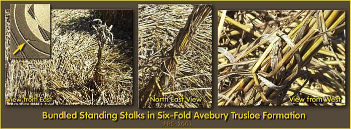 Avebury Trusloe, Wiltshire crop circle, aerial photo 3
