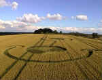 Beckhampton, Wiltshire crop circle, aerial photo 2