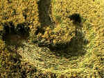 Beckhampton, Wiltshire crop circle, aerial photo 4
