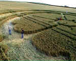Beckhampton, Wiltshire crop circle, aerial photo 14