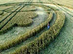 Beckhampton, Wiltshire crop circle, aerial photo 16