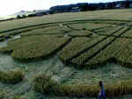 Beckhampton, Wiltshire crop circle, aerial photo 10
