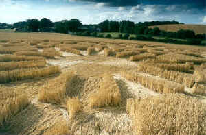 Beckhampton, Wiltshire crop circle, aerial photo 20