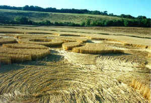 Beckhampton, Wiltshire crop circle, aerial photo 21