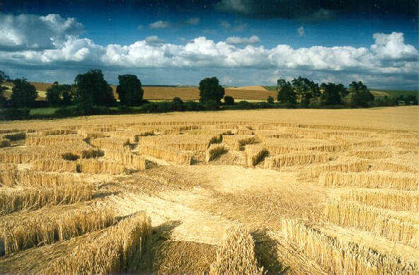 Beckhampton, Wiltshire crop circle, aerial photo 22