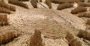 Beckhampton, Wiltshire crop circle, aerial photo 28