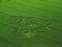 Berranburgh, Wiltshire crop circle, aerial photo 2