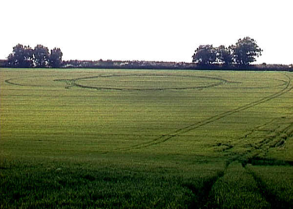 Bishop's Sutton, Hampshire crop circle, aerial photo 2