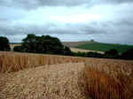 Browns Lane, Wiltshire crop circle, aerial photo 10