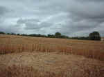Browns Lane, Wiltshire crop circle, aerial photo 11