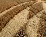 Browns Lane, Wiltshire crop circle, aerial photo 7