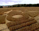 Browns Lane, Wiltshire crop circle, aerial photo 5