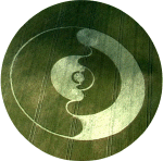 Causewayed Enclosure, Wiltshire crop circle, aerial photo 2