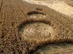 Clays End, Somerset crop circle, aerial photo 3