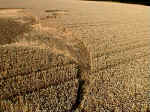 Clays End, Somerset crop circle, aerial photo 4