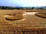 Clays End, Somerset crop circle, aerial photo 7