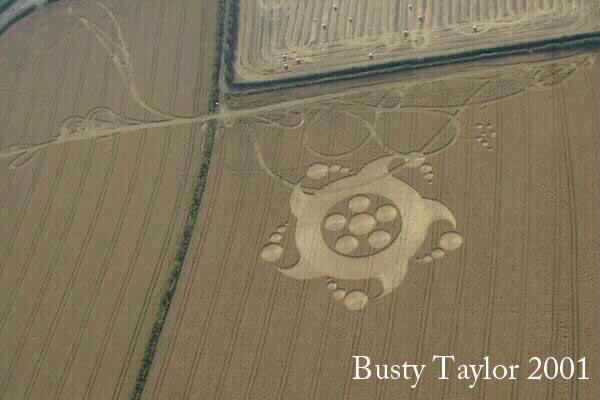 Clays End, Somerset crop circle, aerial photo 9